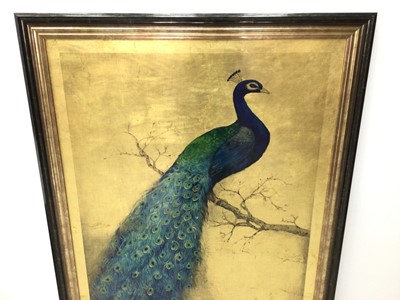 Lot 26 - Good decorative large picture of a peacock