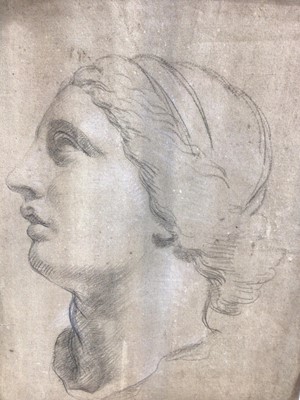 Lot 1271 - European School, 19th pencil drawing - a classical head, together with a circle of Claude Joseph Vernet (1714-1789) French School ink and wash head of a horse (2)