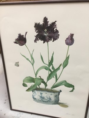 Lot 277 - Pair of Edwardian coloured cystoleum prints, together with a limited edition print by Graham Rust and another limited edition print