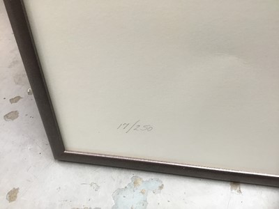 Lot 277 - Pair of Edwardian coloured cystoleum prints, together with a limited edition print by Graham Rust and another limited edition print