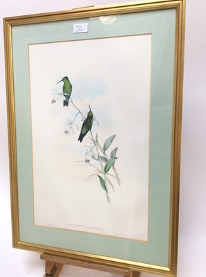 Lot 84 - Pair of decorative John Gould bird prints in glazed gilt frames, together with another similar pair (4)