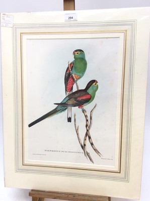 Lot 294 - Group of six John Gould bird prints