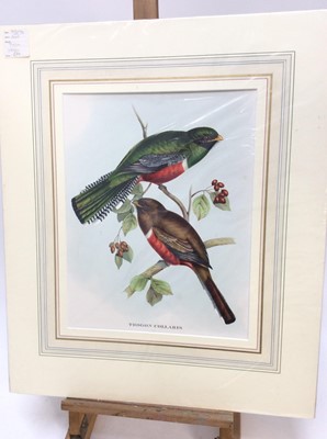 Lot 294 - Group of six John Gould bird prints