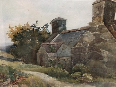 Lot 206 - Early 20th century English School watercolour - A Welsh Cottage, indistinctly signed, in glazed gilt frame