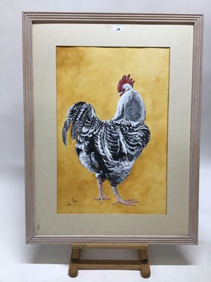 Lot 96 - Jean Maze, contemporary, gouache - a chicken, signed, framed