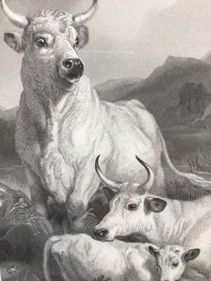 Lot 41 - Victorian Landseer engraving - Wild Cattle at Chillingham, in glazed gilt frame