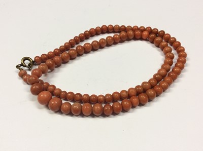 Lot 604 - Old coral graduated bead necklace, 43cm