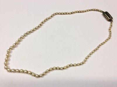 Lot 605 - Cultured pearl necklace with Georgian yellow metal seed pearl clasp
