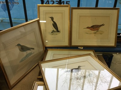 Lot 477 - Group of antique coloured ornithological prints