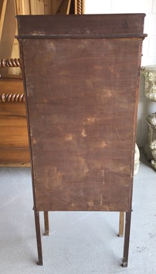 Lot 5 - Early 20th century glazed display cabinet