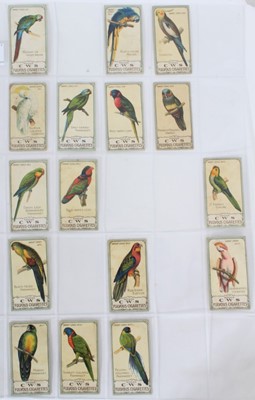 Lot 63 - Cigarette cards - Cooperative Wholesale Society 1910. 16/25 Parrot Series.