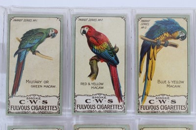 Lot 67 - Cigarette cards - Cooperative Wholesale Company 1910. Parrot Series. Complete set of 25.