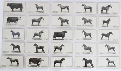 Lot 70 - Cigarette cards - Taddy 1912. Famous Horses and Cattle. Complete set of 50.