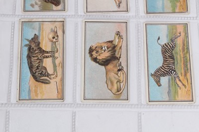 Lot 103 - Cigarette cards - R & J Hill Ltd 1909. Animal Series (Crowfoot back). Complete set of 20.