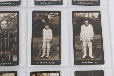 Lot 131 - Cigarette cards - F & J Smith 1912. Cricketers 2nd Series (51-70), various backs.