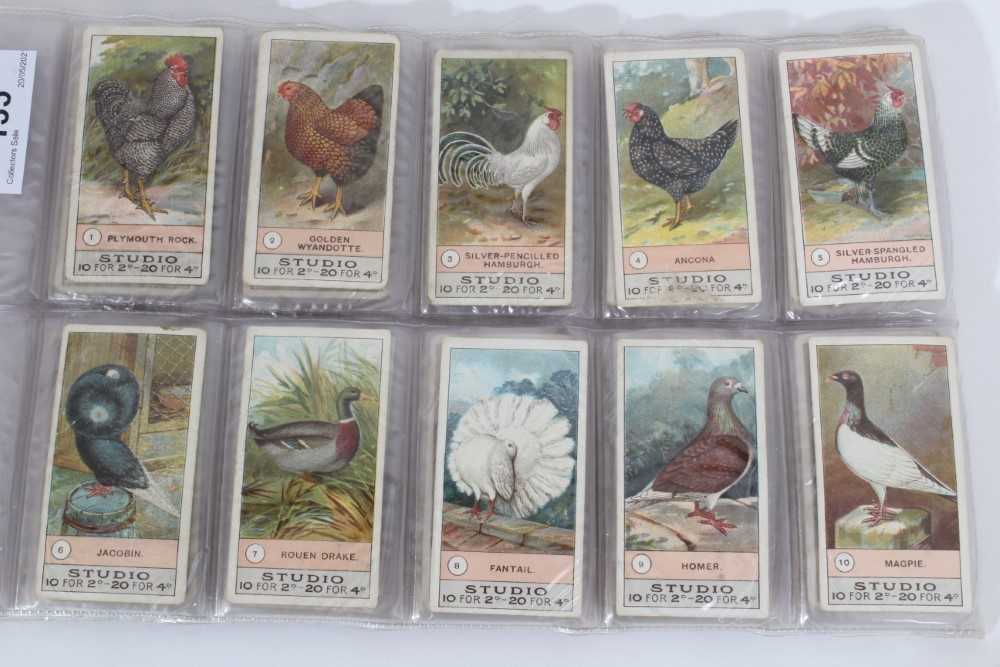 Lot 135 - Cigarette cards - F & J Smith 1908. Fowls, Pigeons & Dogs. Complete set of 50.