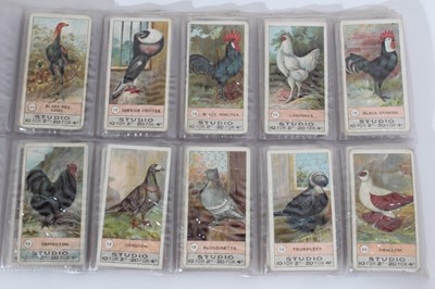 Lot 135 - Cigarette cards - F & J Smith 1908. Fowls, Pigeons & Dogs. Complete set of 50.