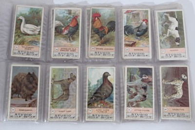 Lot 135 - Cigarette cards - F & J Smith 1908. Fowls, Pigeons & Dogs. Complete set of 50.