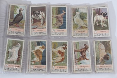 Lot 135 - Cigarette cards - F & J Smith 1908. Fowls, Pigeons & Dogs. Complete set of 50.