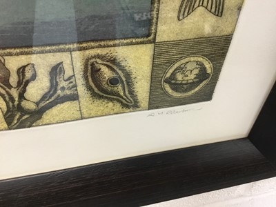 Lot 1598 - Murray Robertson (1961) signed limited edition etching - Flat Earth Theory No. 2: Natural Resources, 6/20, in glazed frame, 71cm x 101cm 
NB: Robertson is a member of the Glasgow Print Studio
