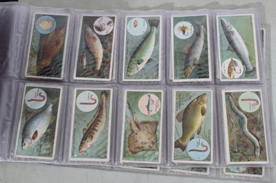 Lot 138 - Cigarette cards - A blue binder (No 5) containing sixteen sets of miscellaneous cigarette cards.