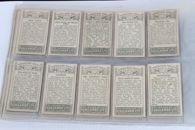 Lot 142 - Cigarette cards - Gallaher Ltd 1912. Woodland Trees. Complete set of 100.