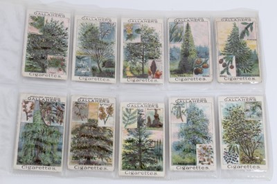 Lot 142 - Cigarette cards - Gallaher Ltd 1912. Woodland Trees. Complete set of 100.
