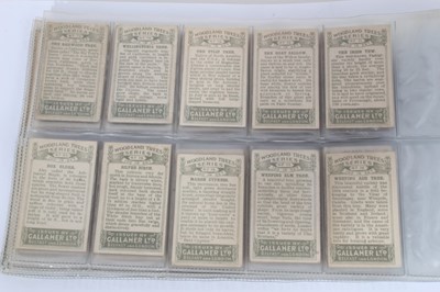 Lot 142 - Cigarette cards - Gallaher Ltd 1912. Woodland Trees. Complete set of 100.