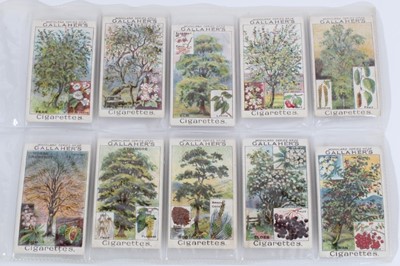 Lot 142 - Cigarette cards - Gallaher Ltd 1912. Woodland Trees. Complete set of 100.