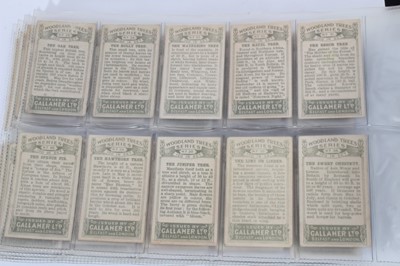 Lot 142 - Cigarette cards - Gallaher Ltd 1912. Woodland Trees. Complete set of 100.