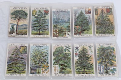 Lot 142 - Cigarette cards - Gallaher Ltd 1912. Woodland Trees. Complete set of 100.