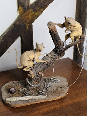 Lot 1552 - Unusual taxidermy and found object composition, comprising two red squirrels on a branch, 40cm high