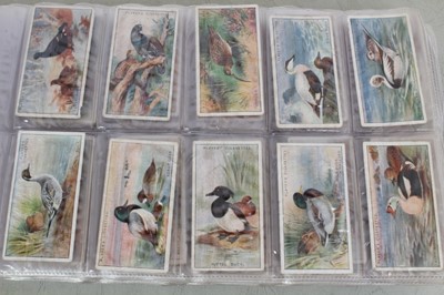 Lot 143 - Cigarette cards - Three blue binders (Nos 7/8/9) containing a selection of miscellaneous cards.