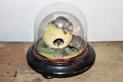 Lot 1666 - Antique porcelain sculpture depicting a family of shrews amongst a peach, 12cm wide, presented under a glass dome