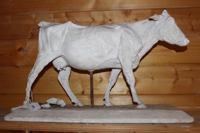 Lot 1699 - 19th century Continental plaster anatomical figure of a cow, on rectangular plinth, 54cm wide overall