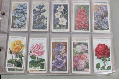 Lot 147 - Cigarette cards - Two blue binders (10/11) containing a large selection of miscellaneous cards.