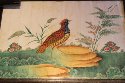 Lot 1732 - Pair of 19th century Chinese paintings on pith paper of birds, 16 x 26cm, together a pair of 19th century watercolour pictures of birds and 18th century hand coloured engraving of a bird