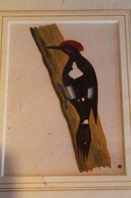 Lot 1732 - Pair of 19th century Chinese paintings on pith paper of birds, 16 x 26cm, together a pair of 19th century watercolour pictures of birds and 18th century hand coloured engraving of a bird