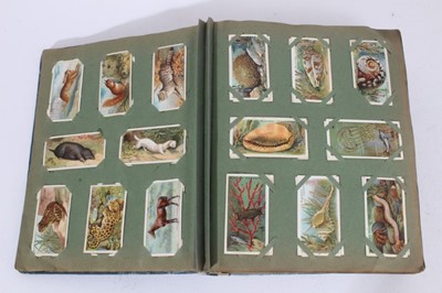 Lot 150 - Cigarette cards - An old slip-in type album containing a large selection of cigarette cards.