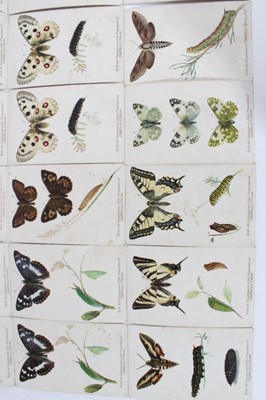 Lot 162 - Trade cards - Cadbury Bros Ltd (Chocolate) Reward Cards 1910. 23/32 British Butterflies & Moths.