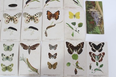 Lot 162 - Trade cards - Cadbury Bros Ltd (Chocolate) Reward Cards 1910. 23/32 British Butterflies & Moths.