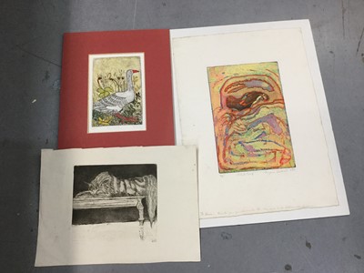 Lot 291 - Georgina Villacorta artists proof numbered 3 of 4 inscribed and dated 7 / 71 together with a J D Passey print numbered 10 of 20 'The Goose' and a study of a sleeping cat signed Jock to the reverse...