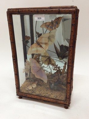 Lot 935 - Victorian display of hummingbirds and butterflies within naturalistic setting in glazed case