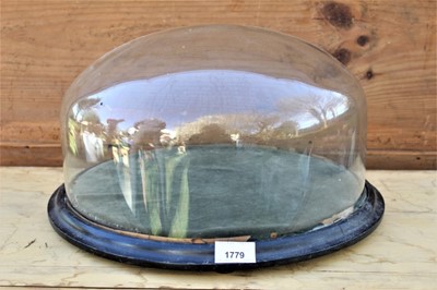 Lot 1779 - Late Victorian glass display dome, on ebonised stand, approximately 23cm high x 41cm diameter