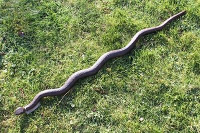 Lot 1783 - Late 19th century Indian finely carved wooden staff in the form of a snake with inset glass eyes, 95cm long