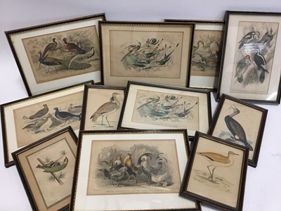 Lot 570 - Collection of fifteen 19th century engravings, some hand coloured, each depicting birds, in glazed frames p