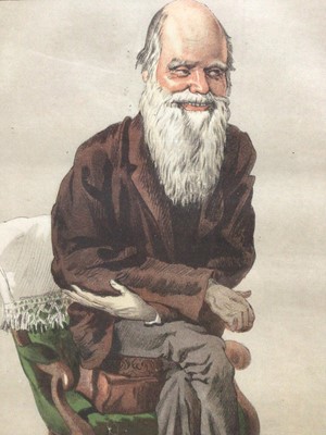 Lot 77 - Vanity Fair lithograph of Charles Darwin