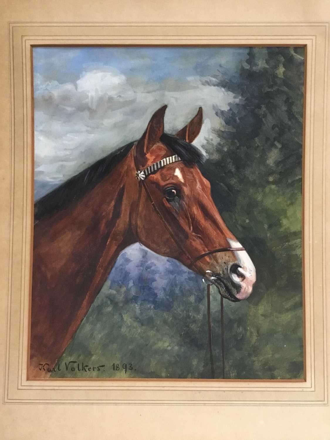 Lot 33 - Karl Volkers (1868-1944), Gouache of horse, signed and dated 1893