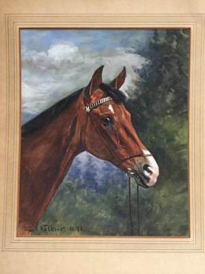 Lot 115 - Karl Volkers (1868-1944), Gouache of horse, signed and dated 1893