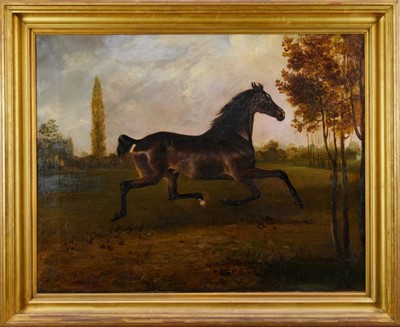 Lot 1012 - Henry Calvert oil on canvas - frolicking horse